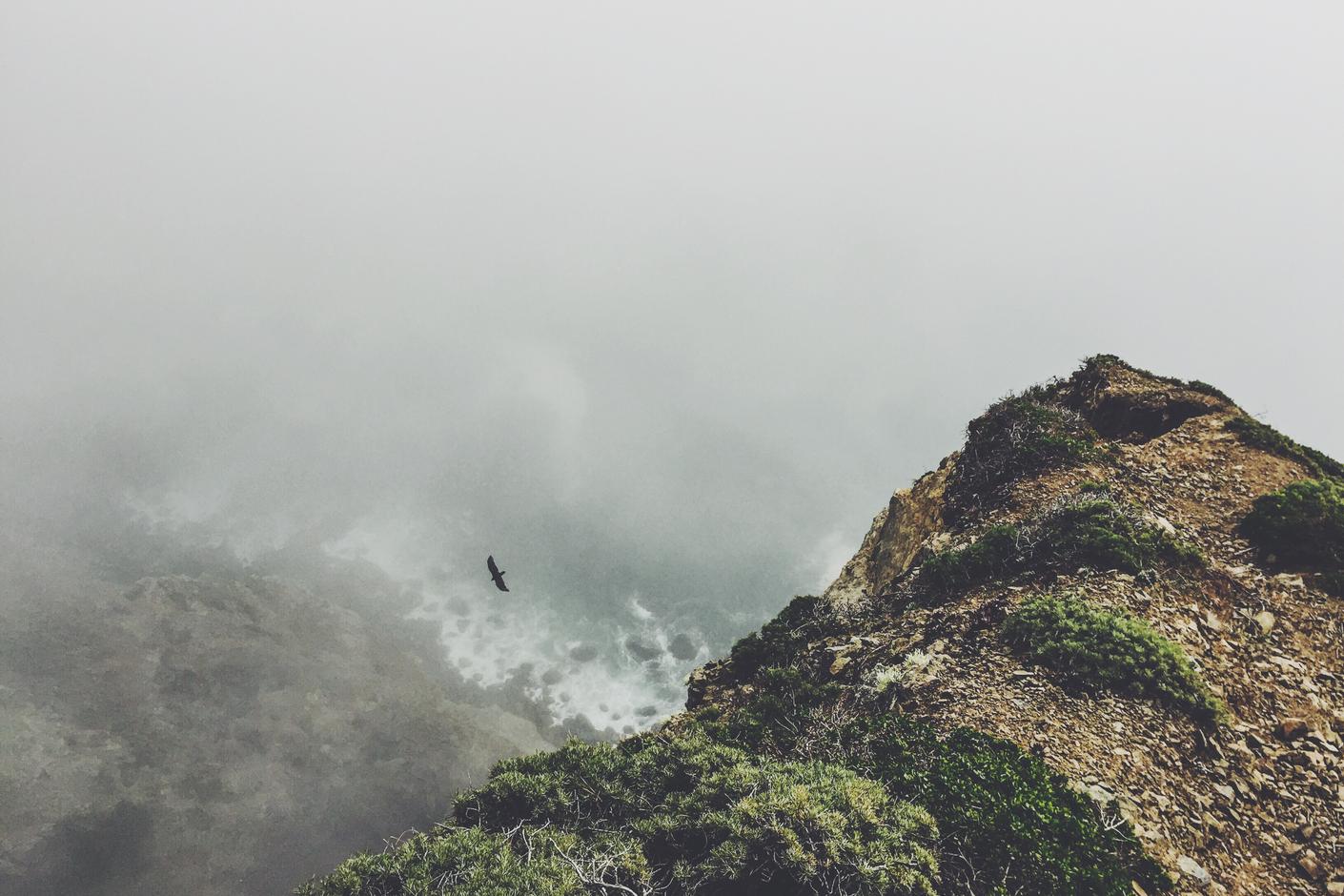 Consectetur iure porro qui totam