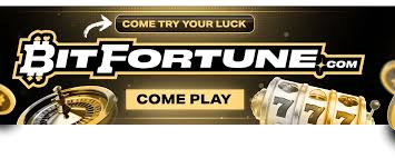 Bitfortune for Casual Players A Beginner's Guide -1352613371