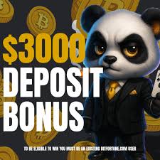 Your Ultimate Guide to Bitfortune Casino A First-Week Experience